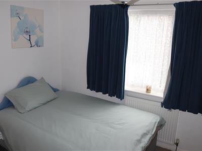 Picture 11